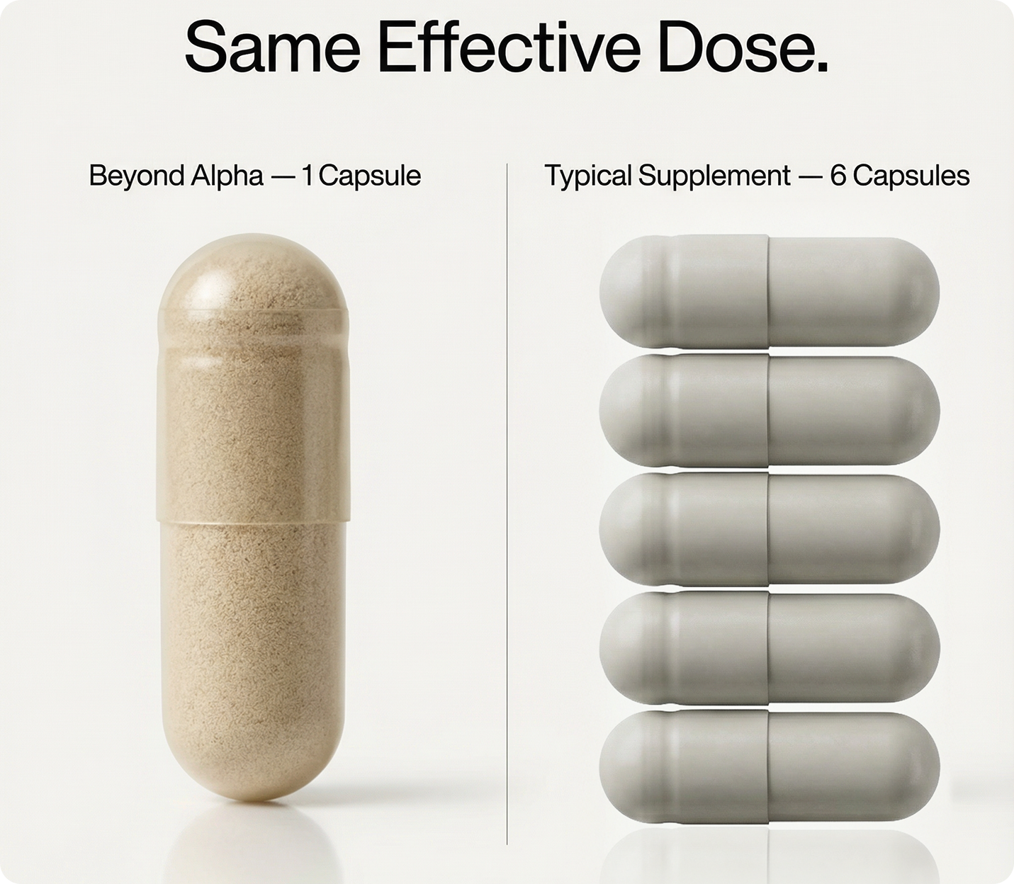 Beyond Alpha Label Ingredients Page – Beyond Alpha
