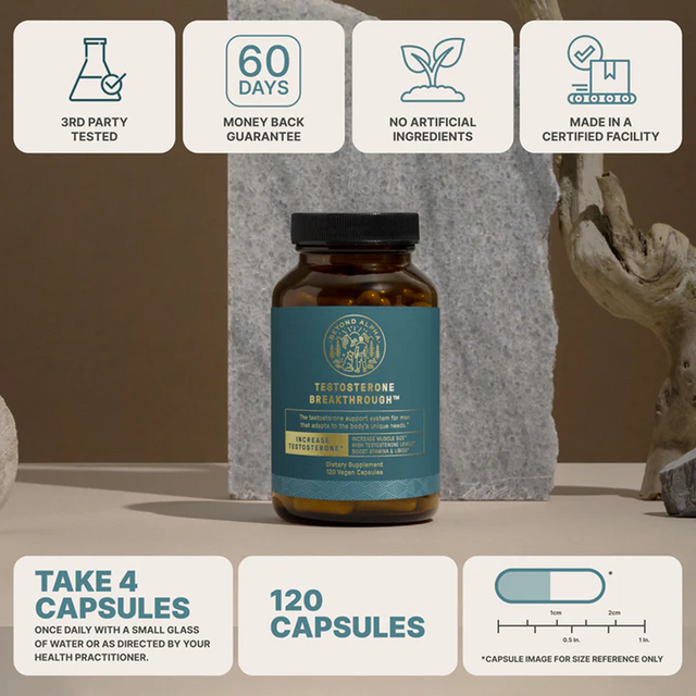 The Dream Body Stack™ – Beyond Alpha